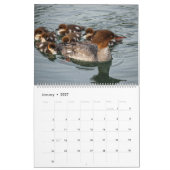 Cute Baby Ducks 2025 Wall Calendar カレンダー (1月 2027)