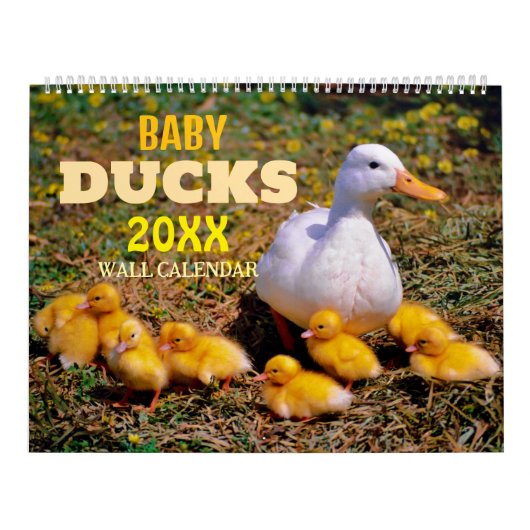 Cute Baby Ducks 2025 Wall Calendar カレンダー (カバー)