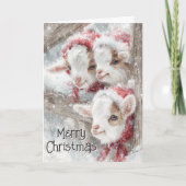 Cute Baby Goats - Snow Babies 11 Christmas シーズンカード (正面)