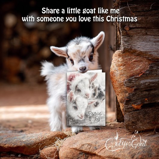 Cute Baby Goats - Snow Babies 4 Christmas シーズンカード