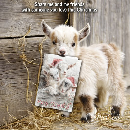 Cute Baby Goats - Snow Babies 5 Christmas シーズンカード