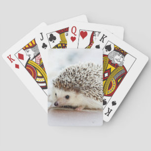 Cute Baby Hedgehog トランプ