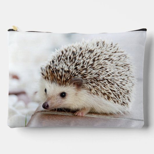 Cute Baby Hedgehog Photo アクセサリーポーチ (正面)
