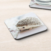 Cute Baby Hedgehog Photo コースター (左側)