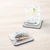 Cute Baby Hedgehog Photo コースター (右側)