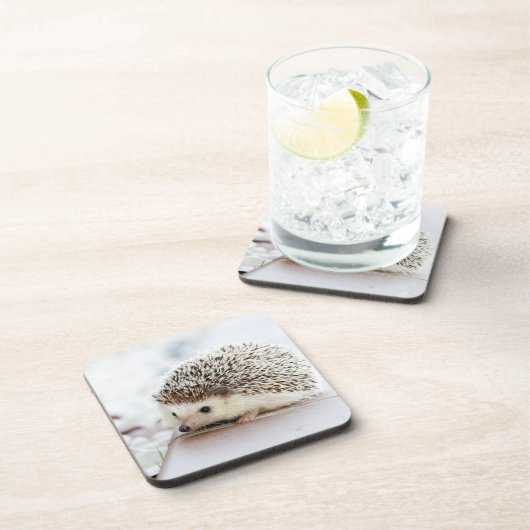 Cute Baby Hedgehog Photo コースター (右側)