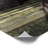 Cute Baby Otter ポスター (角)