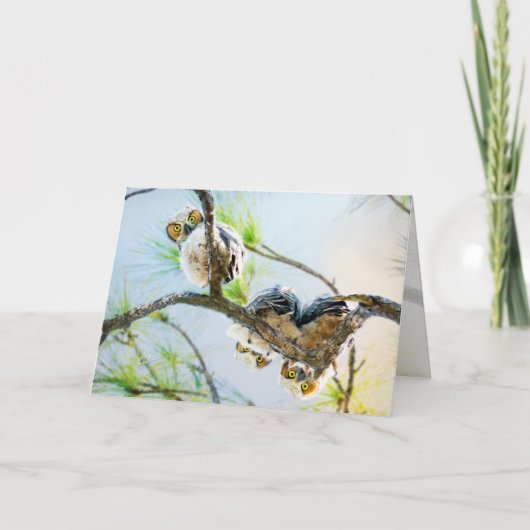 Cute Baby Owls Blank All Occasion シーズンカード (正面)