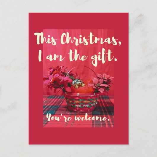 Cute Baby Sulcata Tortoise in poinsettia basket ポストカード (正面)