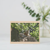 Cute Baby Tiger DIY Postcard シーズンポストカード (スタンド正面)