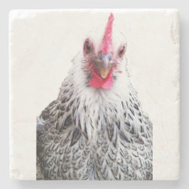 Cute Bantam Cochin Hen Photo Stone Coaster ストーンコースター