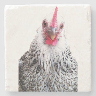 Cute Bantam Cochin Hen Photo Stone Coaster ストーンコースター