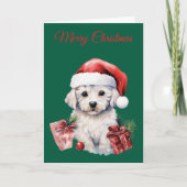 Cute Bichon Frise at Christmas シーズンカード (正面)