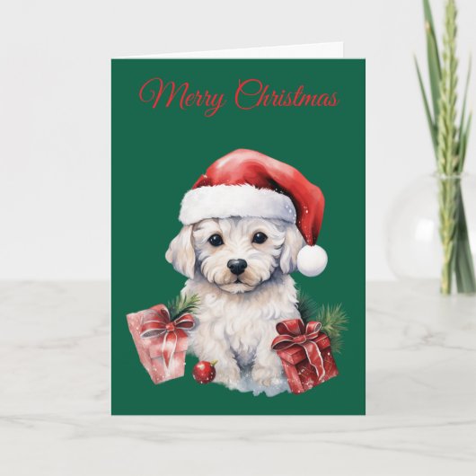 Cute Bichon Frise at Christmas シーズンカード (正面)