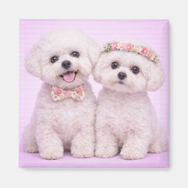 Cute Bichon Frise Couple Valentine Illustration マグネット