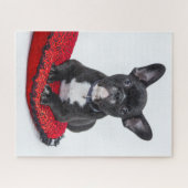 Cute Black BULLDOG Puppy Customizable ジグソーパズル (横)