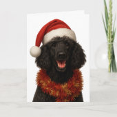 Cute black Poodle Christmas card カード (正面)