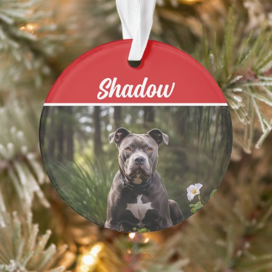 Cute Bluenose Pitbull Dog Holiday Christmas Photo オーナメント (ツリー)