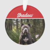 Cute Bluenose Pitbull Dog Holiday Christmas Photo オーナメント (正面)