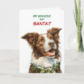 Cute Border Collie Looks for Santa シーズンカード (正面)