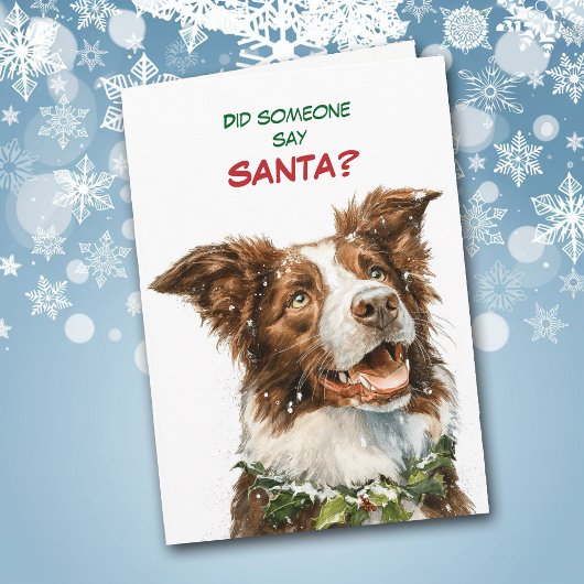 Cute Border Collie Looks for Santa シーズンカード