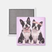 Cute Boston Terrier Couple Valentine Illustration  マグネット (正面/裏面)