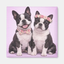 Cute Boston Terrier Couple Valentine Illustration マグネット
