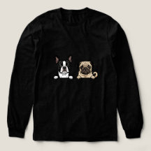 Cute Boston Terrier & Pug Dog for pet adopters 