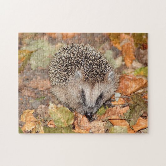Cute Brown Hedgehog on Leaves Jigsaw Puzzle ジグソーパズル (横)