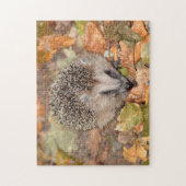 Cute Brown Hedgehog on Leaves Jigsaw Puzzle ジグソーパズル (縦)