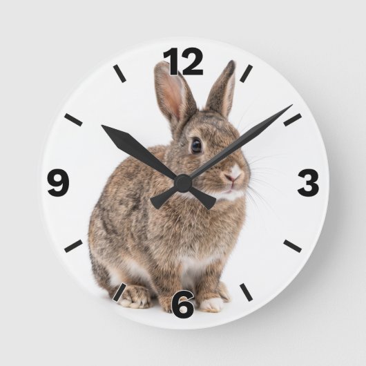 Cute Brown Rabbit Bunny Farm Nursery Decor ラウンド壁時計 (正面)
