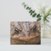 Cute Brown Toad Face Nature ポストカード (スタンド正面)