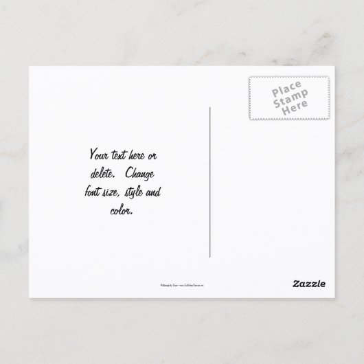 Cute Brown Toad Face Nature ポストカード (裏面)