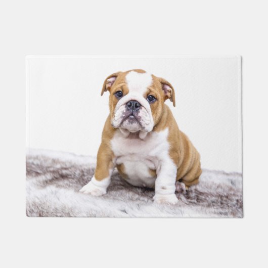 Cute Bulldog Puppy ドアマット (正面)