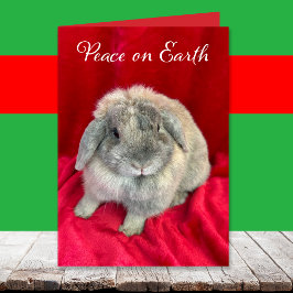 Cute Bunny Rabbit Christmas Cards シーズンカード