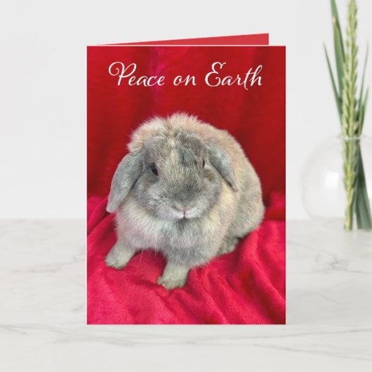 Cute Bunny Rabbit Christmas Cards シーズンカード (正面)