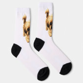 Cute Cartoon Shih Tzu Dog Socks ソックス (右)