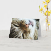 Cute CatこんにちはHow are you おもしろい・グリーティング カード (黄色い花)