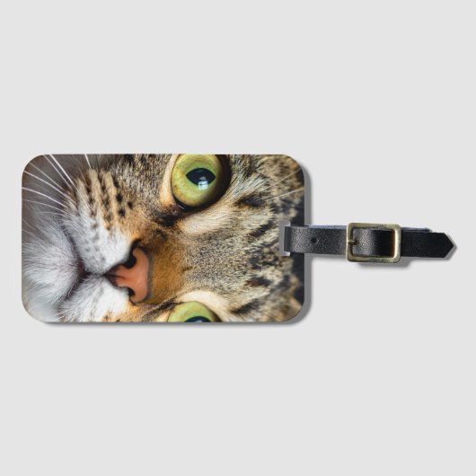 Cute cat ラゲッジタグ (正面横)