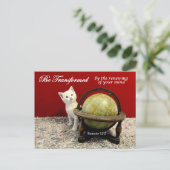 Cute Cat and Romans 12:2聖書の詩はがき ポストカード (スタンド正面)