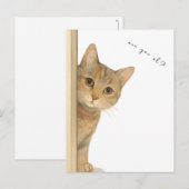 Cute Cat Are You Ok? Card. ポストカード (正面/裏面)