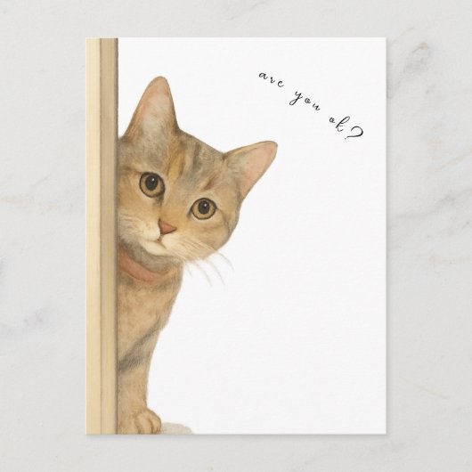 Cute Cat Are You Ok? Card. ポストカード (正面)