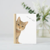 Cute Cat Are You Ok? Card. ポストカード (スタンド正面)