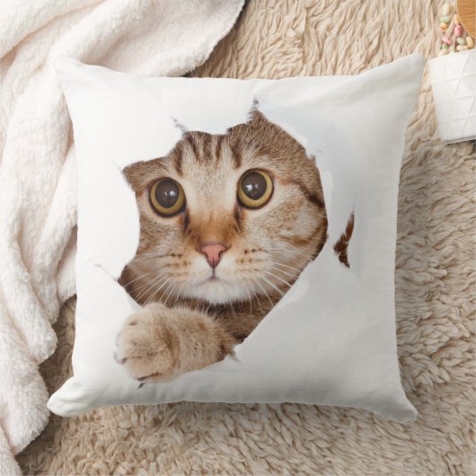 Cute Cat Blanket Design クッション (ブランケット)