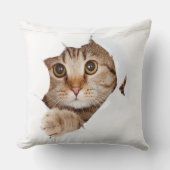 Cute Cat Blanket Design クッション (正面)