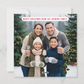 Cute Cat Christmas gazing at tree lights シーズンカード (裏面)