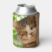 Cute Cat Climbing a Tree 缶クーラー (缶正面)