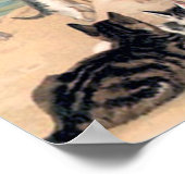 Cute Cat Fun at the Beach ポスター (角)