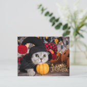 Cute Cat in Funny Halloween Costume  シーズンポストカード (スタンド正面)
