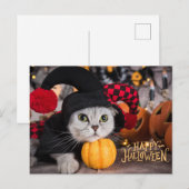 Cute Cat in Funny Halloween Costume  シーズンポストカード (正面/裏面)